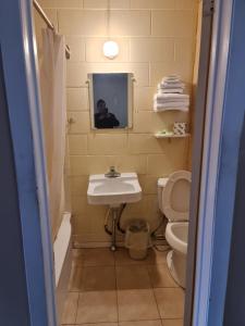 Gallery image of Skyways Motel in Gravenhurst