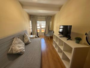 a living room with a couch and a flat screen tv at SP 64 Vut in Lugo