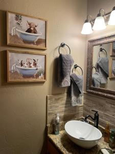 un bagno con un lavandino e foto di cani in una vasca da bagno di And Boots Start Knocking 3 beds Super Host Status a Stillwater