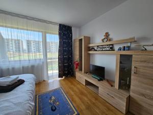 a bedroom with a bed and a large window at Elena's Studio Brasov in Braşov +21 photos