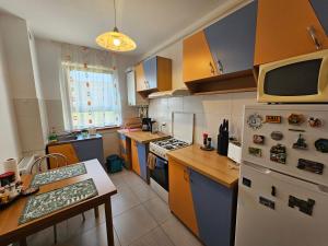 Kuchyň nebo kuchyňský kout v ubytování Elena's Studio Brasov