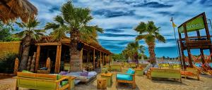a resort with a bunch of chairs and palm trees at Harmonia in Athens