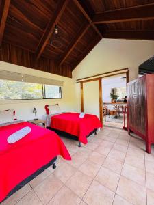 Postel nebo postele na pokoji v ubytování Bonsai House + 14 fotografií