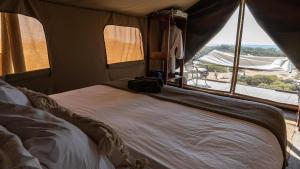 a bedroom with a bed with a large window at Sal Salis Ningaloo Reef in Exmouth +19 photos