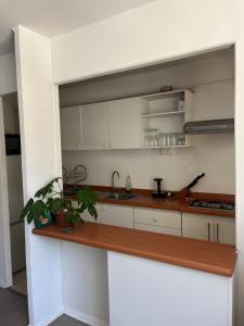 Η κουζίνα ή μικρή κουζίνα στο Gran departamento frente a la playa