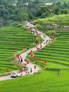 Phong cảnh thiên nhiên gần căn hộ