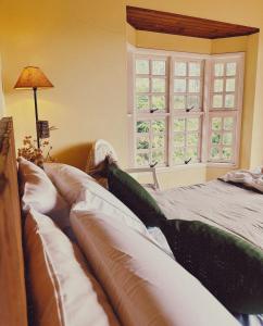 蒙特韦尔迪All Green Residence的卧室在窗户前配有沙发