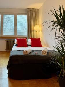 een slaapkamer met een groot bed met rode kussens bij Apartament Kochanowskiego Łódź in Łódź