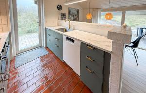 Kuchyň nebo kuchyňský kout v ubytování Pet Friendly Home In Hvide Sande