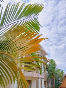 a palm tree in front of a building at Kigali Homes Lodge in Kigali