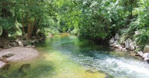 een rivier met groen water en bomen erop bij L'Orée du Loup in La Colle-sur-Loup