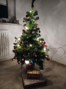 Φωτογραφία από το άλμπουμ του Doppelbett σε Ντίνσλακεν