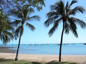 two palm trees on a beach with boats in the water at Sunrise Cove in Airlie Beach