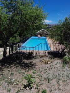 比亚莱特马西Cabañas Wasirumi的庭院中间的游泳池