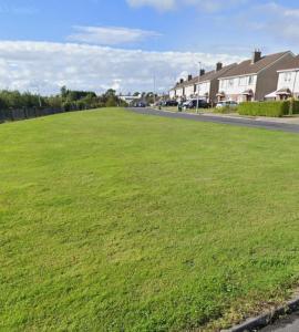 Un gran campo de césped verde al lado de una calle. en Victor's guesthouse, en Waterford