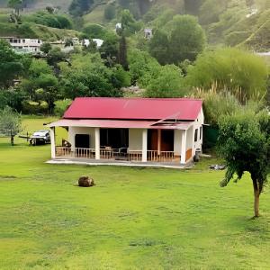 Природа в окрестностях курортного отеля +13 фотографий