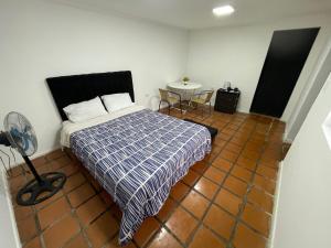 库里科Habitación doble con Jacuzzi的一间卧室配有一张床和一张带风扇的桌子。