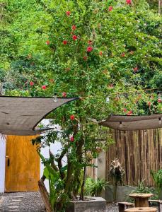 a tree with pink flowers in a garden at Pugad Hostel, El Nido in El Nido