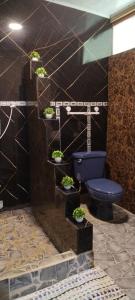 Vannituba majutusasutuses Cabins yafeth osa drake bay +109 fotot