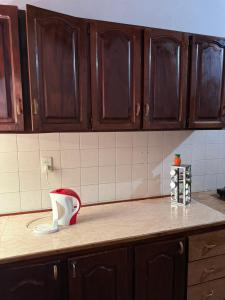 eine Küchentheke mit einem Mörser und Stößel auf der Theke in der Unterkunft Alojamiento en el centro de Siberia Group in Encarnación