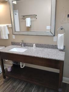 een badkamer met een wastafel en een spiegel bij Gated 1 King Bed 1 Bath Apt with Full Kitchen 109 in Baton Rouge