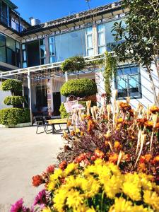 En have udenfor DALI FLOWER&CAT VILLa