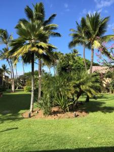 Un jardín fuera de Great Kihei Location Steps to Beach 2BR 2BA
