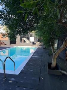 a swimming pool with a tree next to it at Enigma in José Ignacio