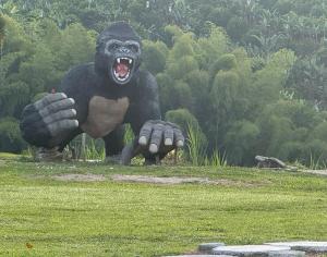 Animales en el hotel o alrededores