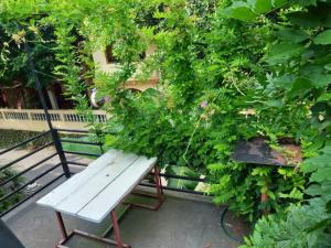 Κήπος έξω από το 一元民宿 One Penny Hostel