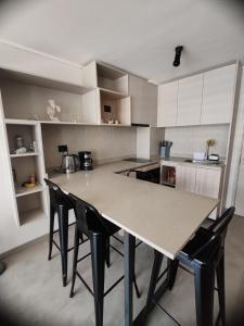 Η κουζίνα ή μικρή κουζίνα στο Suite urbana