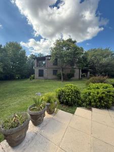 En have udenfor Los alerces 2