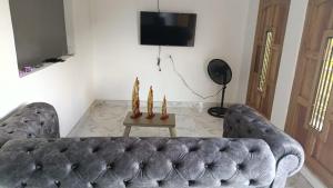 蒙波斯Apartamentos S & J的带沙发和电视的客厅 更多3张照片