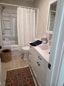 een witte badkamer met een toilet en een wastafel bij Perch, for work or wandering the Litchfield Hills in Southbury