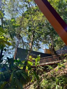 most w środku lasu z drzewami w obiekcie Cabaña El Mamoncillo - Jacuzzi Privado con Calefacción y Malla Catamarán - Cerca a Medellín w mieście Sopetrán