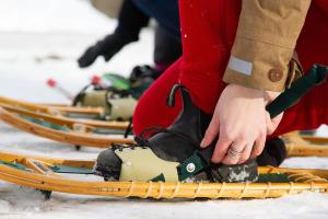 Σκι σε αυτό το πανδοχείο ή εκεί κοντά