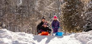 Το Bonnie View Inn τον χειμώνα