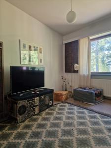 TV a/nebo společenská místnost v ubytování Säynätsalo Town Hall