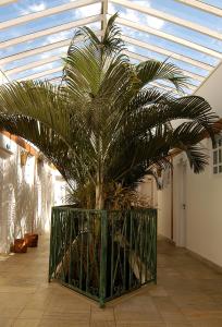 Foto da galeria de Pousada Terra Juquehy em Juqueí