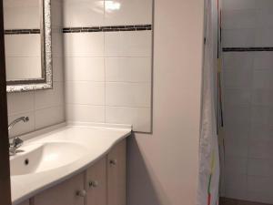 韦尔科尔地区科尔朗松Maison spacieuse à Corrençon avec terrasse et jardin, 4 chambres - FR-1-761-1的浴室配有洗手池、镜子和淋浴。 更多6张照片