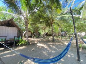 Zahrada ubytování DANG dang Balbago Beach