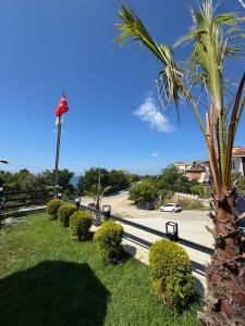 een palmboom en een straatlicht naast een weg bij BL Karakum Suites in Sinop