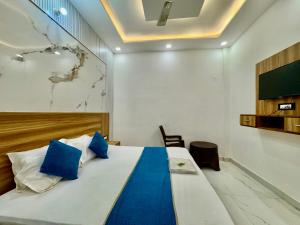 TV a/nebo společenská místnost v ubytování Hotel Krishna Kripa Palace