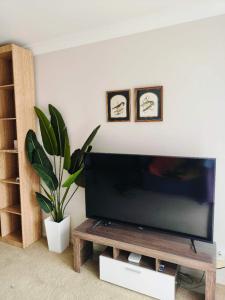 a living room with a flat screen tv and a plant at Bayview Holiday Flat in Auckland