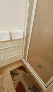 a small bathroom with a shower and a rug at Bayview Holiday Flat in Auckland