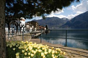 une vue d'un lac avec un bouquet de fleurs dans l'établissement Casa Paradise, à Castro