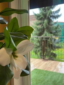 Vườn quanh Coffe House - hostel w centrum miasta - pokoje do wynajęcia