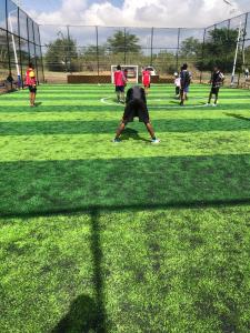 Hosté ubytování Olerai field