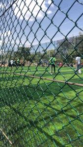 Hosté ubytování Olerai field