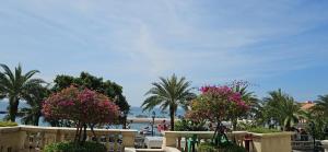 Phong cảnh thiên nhiên gần khách sạn